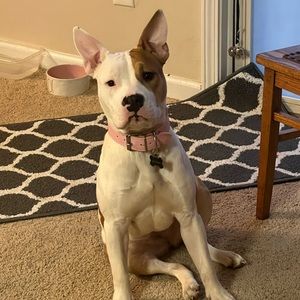 Meet your Posher, Brianna